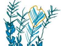 Giardino d’inverno