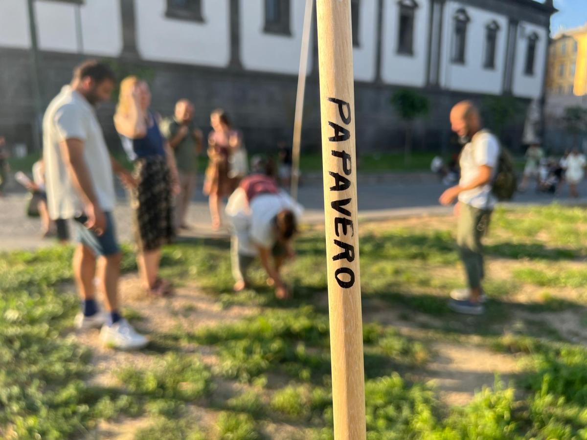 Preennial of Water // È arrivata&nbsp;l’acqua