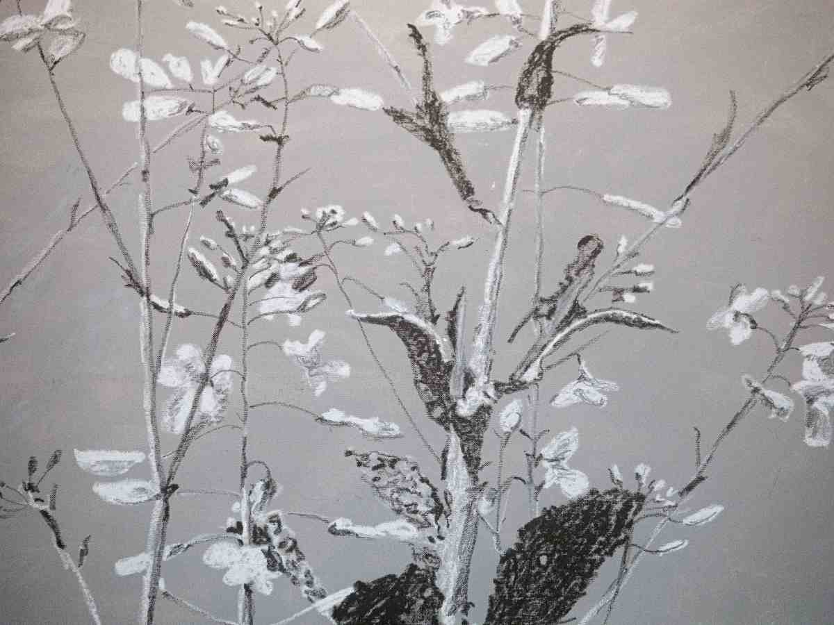 SIMONA DA POZZO // IL PESO NEGLI&nbsp;OCCHI